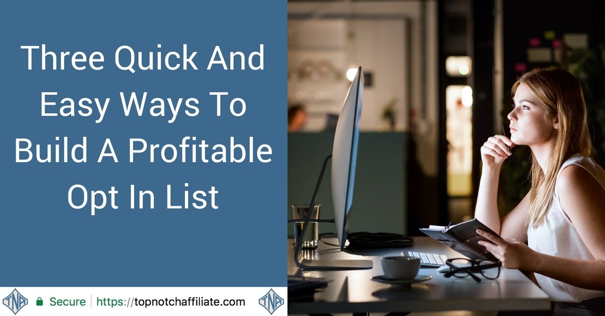 Three Quick And Easy Ways To Build A Profitable Opt In List